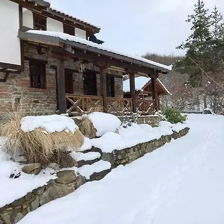 Traditional Cottage - Vila Samovila Delcevo Exterior photo