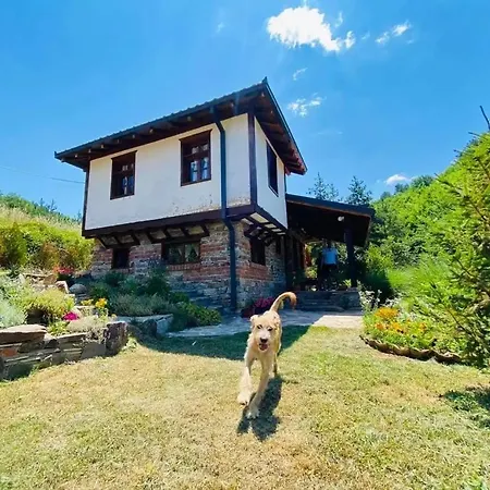 Traditional Cottage - Vila Samovila Delcevo Exterior photo