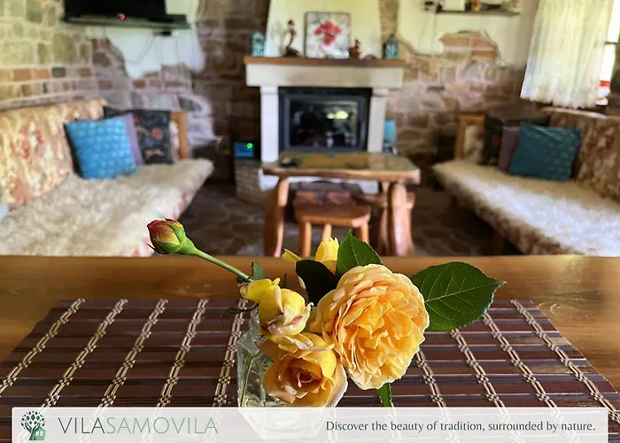 Traditional Cottage - Vila Samovila