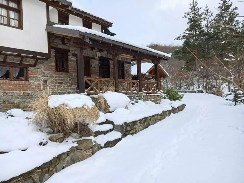 Traditional - Samovila Delcevo