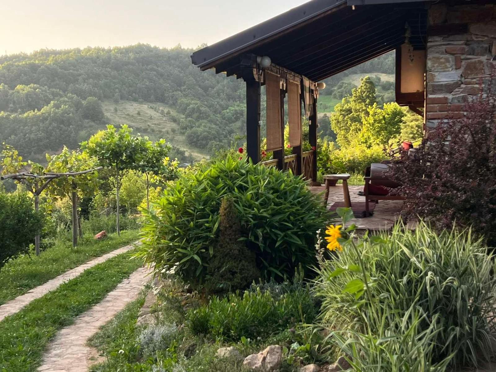 Holiday home Traditional - Samovila Delcevo