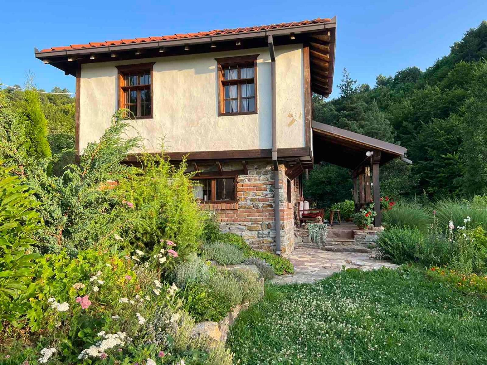Holiday home Traditional - Samovila Delcevo