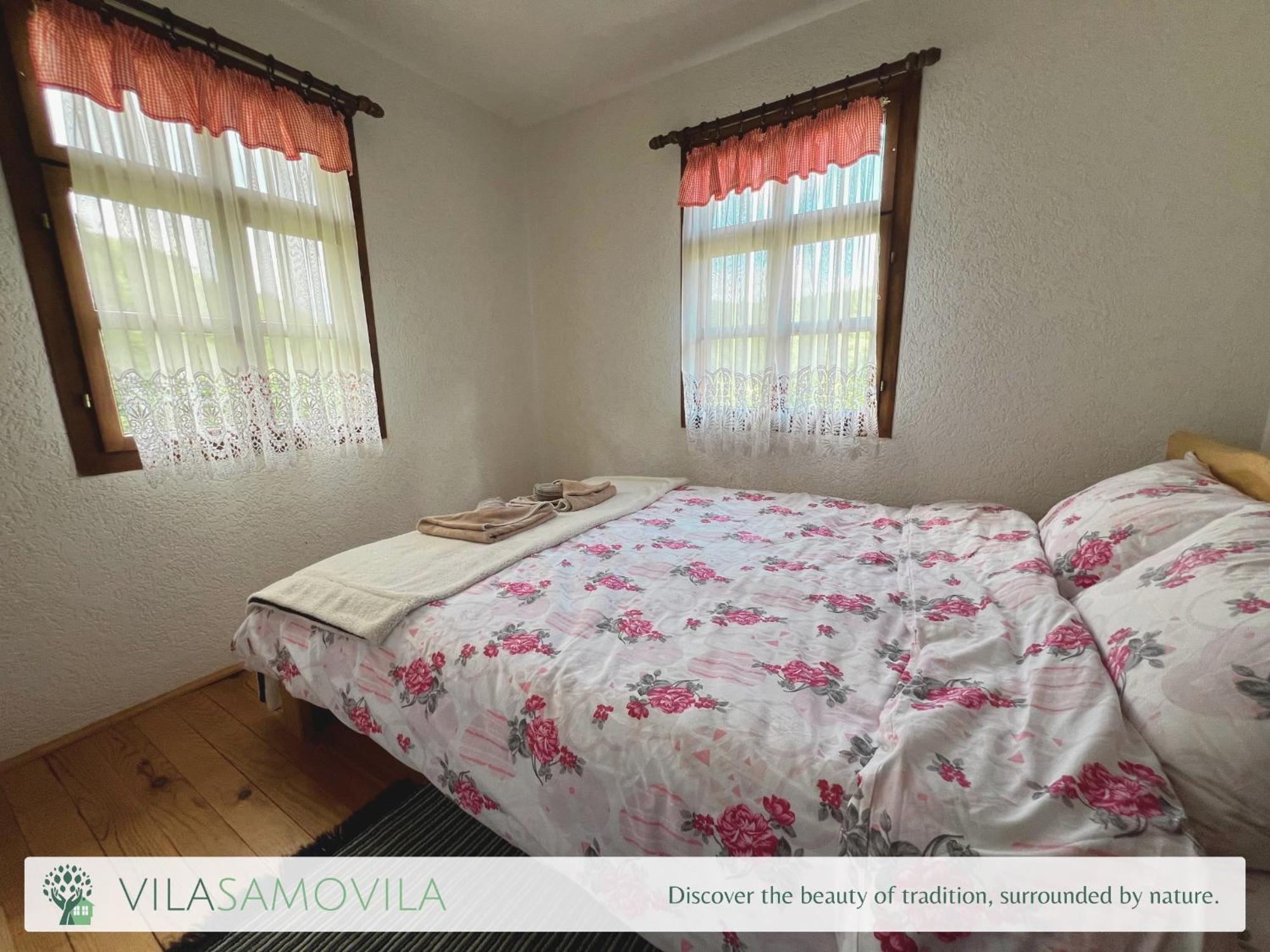 Holiday home Traditional - Samovila Delcevo