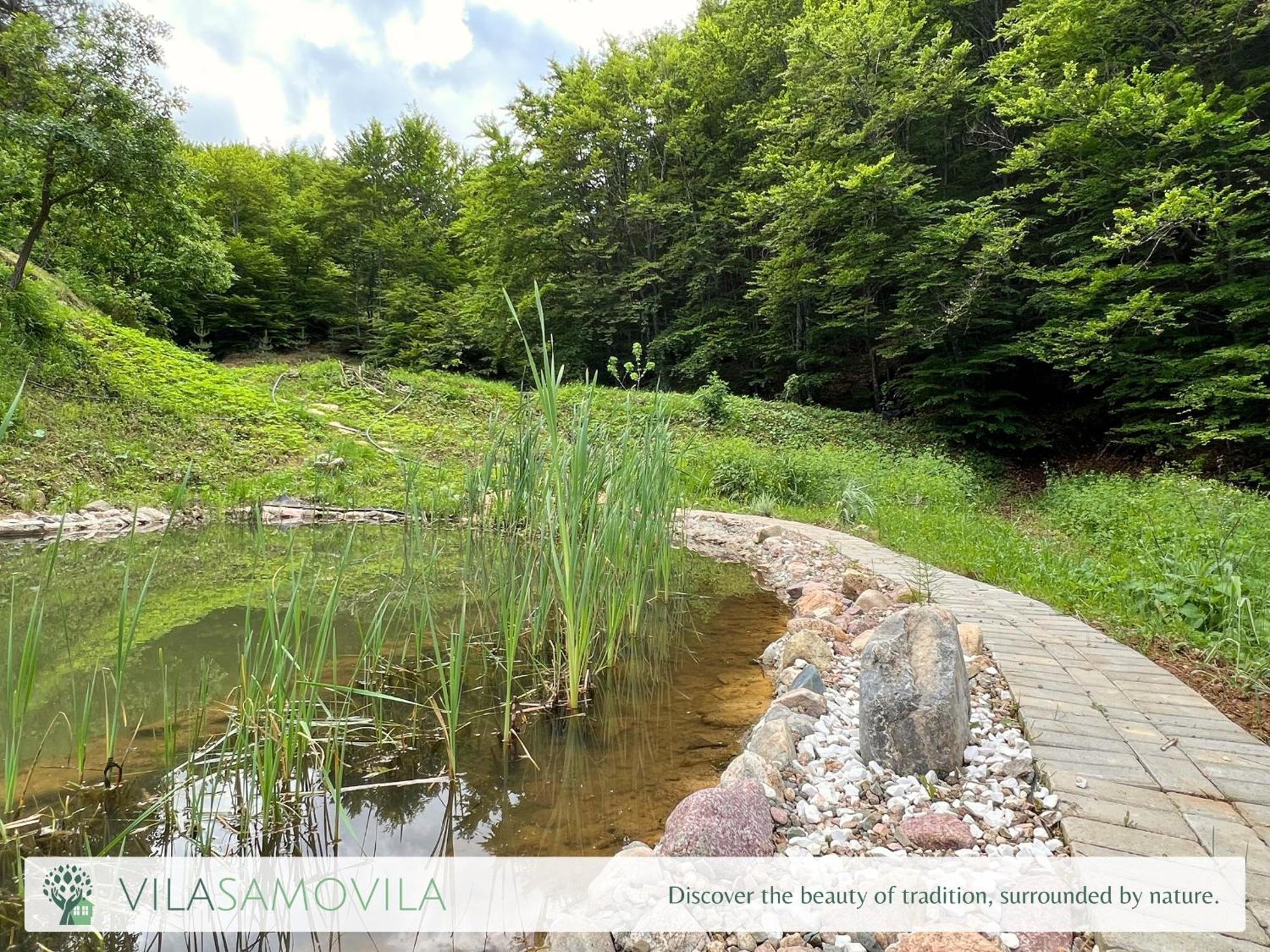 Holiday home Traditional - Samovila Delcevo